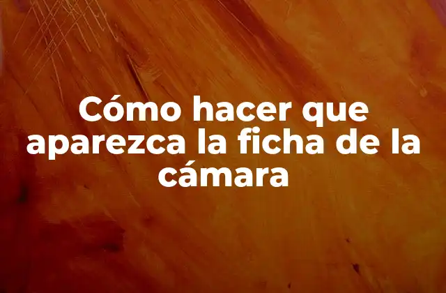Cómo Hacer que Aparezca la Ficha de la Cámara