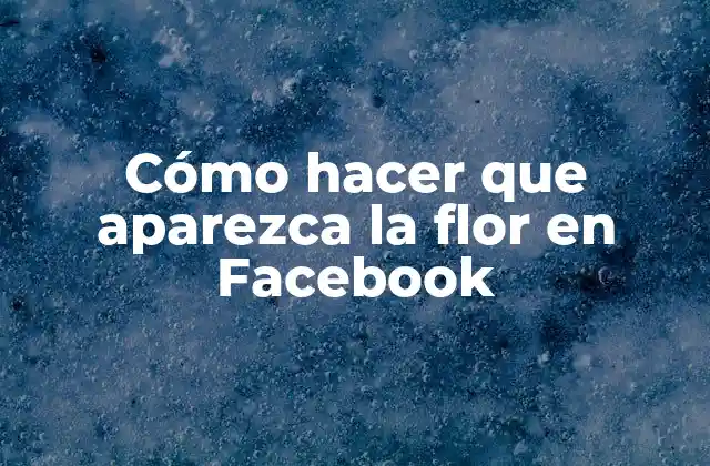 Cómo Hacer que Aparezca la Flor en Facebook