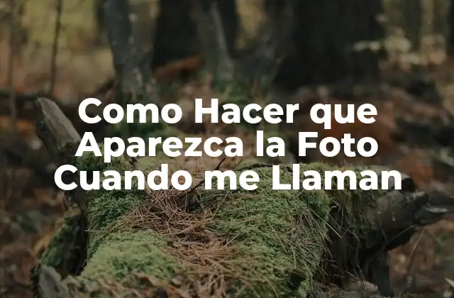 Como Hacer que Aparezca la Foto Cuando Me Llaman 2 Como Hacer que Aparezca la Foto Cuando me Llaman