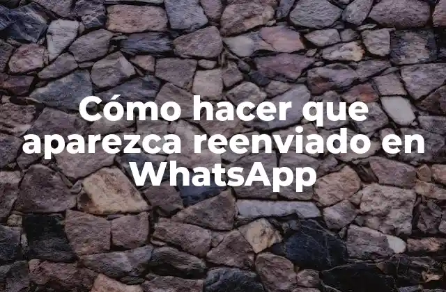 Cómo Hacer que Aparezca Reenviado en Whatsapp 2 Cómo hacer que aparezca reenviado en WhatsApp