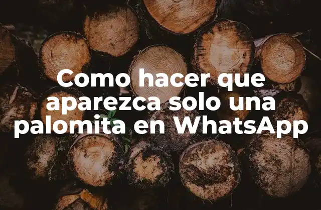 Como Hacer que Aparezca Solo una Palomita en Whatsapp