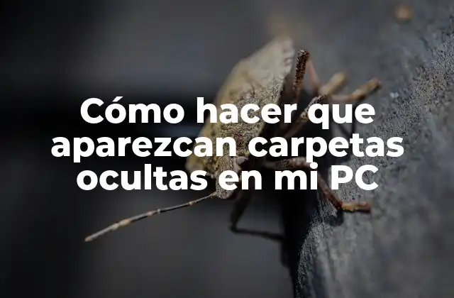 Cómo Hacer que Aparezcan Carpetas Ocultas en Mi Pc