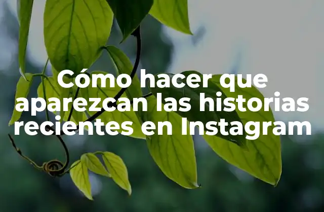 Cómo Hacer que Aparezcan las Historias Recientes en Instagram