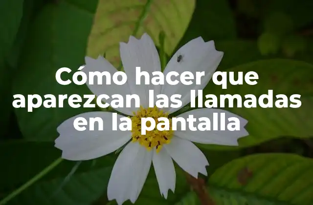 Cómo Hacer que Aparezcan las Llamadas en la Pantalla