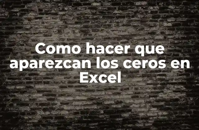 Como Hacer que Aparezcan los Ceros en Excel