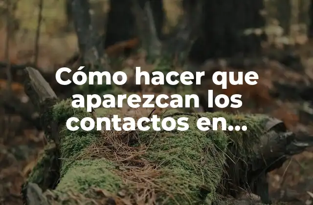 Cómo Hacer que Aparezcan los Contactos en Whatsapp Dual