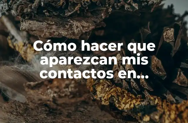 Cómo Hacer que Aparezcan Mis Contactos en Whatsapp