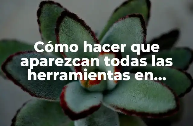 Cómo Hacer que Aparezcan Todas las Herramientas en Indesign