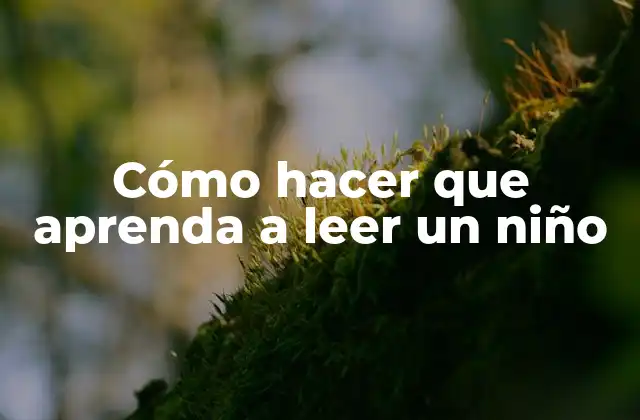 Cómo Hacer que Aprenda a Leer un Niño
