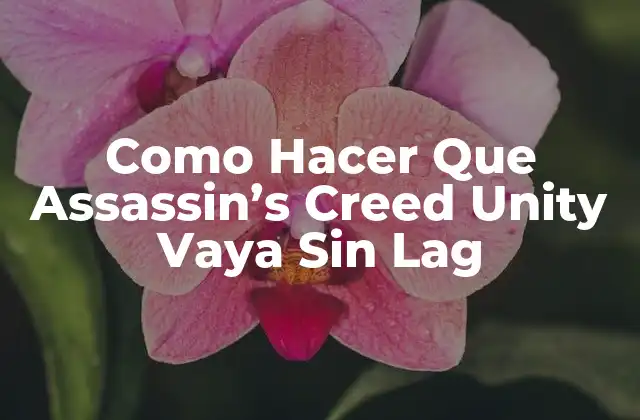 Como Hacer que Assassin’s Creed Unity Vaya sin Lag