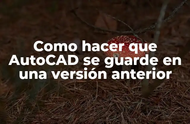 Como Hacer que Autocad Se Guarde en una Versión Anterior