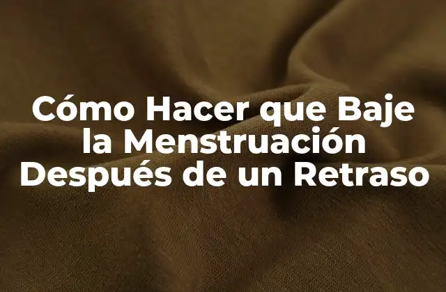Cómo Hacer que Baje la Menstruación Después de un Retraso