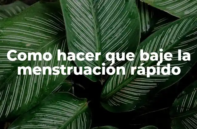 ¿Qué es la menstruación y por qué es importante regularizarla?