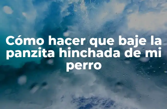 Cómo Hacer que Baje la Panzita Hinchada de Mi Perro