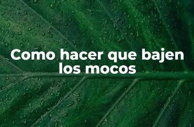 ¿Qué son los mocos y por qué son importantes?