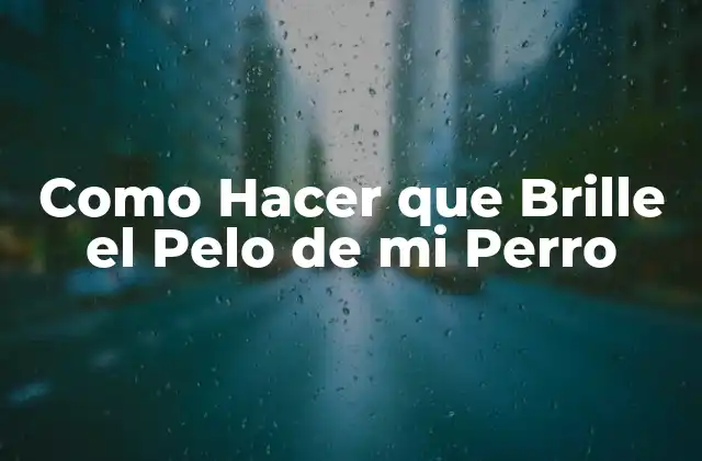Como Hacer que Brille el Pelo de Mi Perro