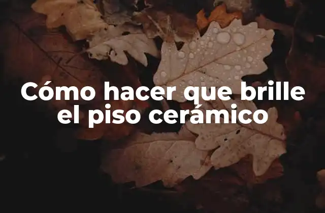 Cómo Hacer que Brille el Piso Cerámico