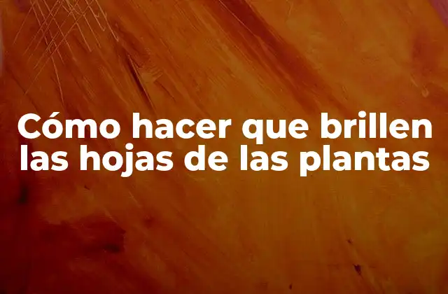 Cómo Hacer que Brillen las Hojas de las Plantas 2 Cómo hacer que brillen las hojas de las plantas