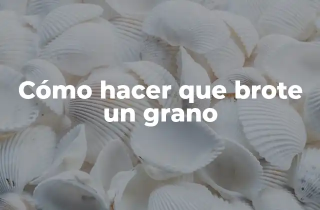 Cómo Hacer que Brote un Grano