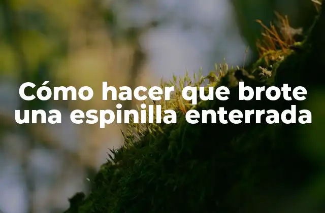 Cómo Hacer que Brote una Espinilla Enterrada