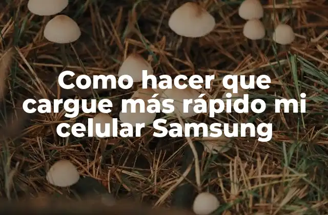 Como Hacer que Cargue Más Rápido Mi Celular Samsung