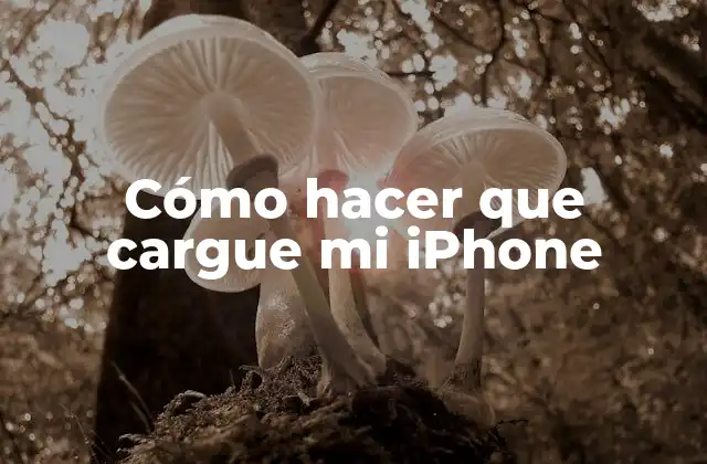 Cómo Hacer que Cargue Mi Iphone