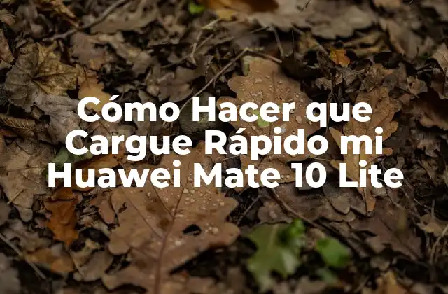 Cómo Hacer que Cargue Rápido Mi Huawei Mate 10 Lite 2 ¿Qué es la Carga Rápida y Cómo Funciona en tu Huawei Mate 10 Lite?