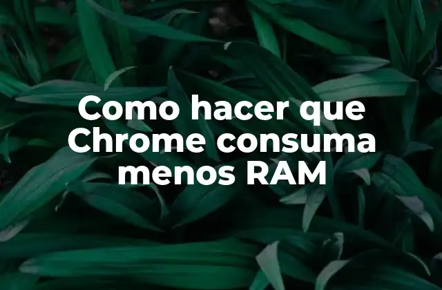 Como Hacer que Chrome Consuma Menos Ram