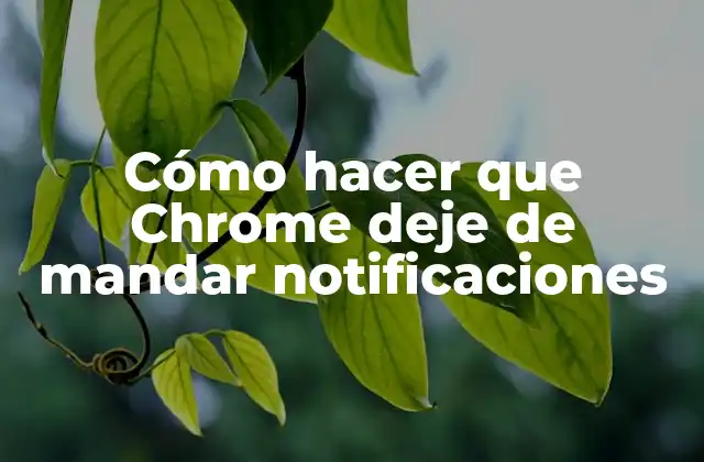Cómo Hacer que Chrome Deje de Mandar Notificaciones