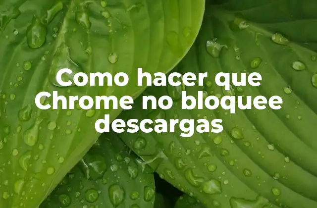 Como Hacer que Chrome No Bloquee Descargas