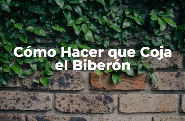 Cómo Hacer que Coja el Biberón