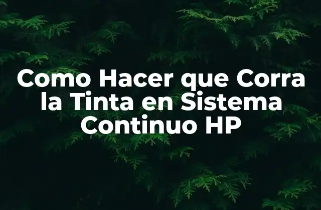 Como Hacer que Corra la Tinta en Sistema Continuo Hp