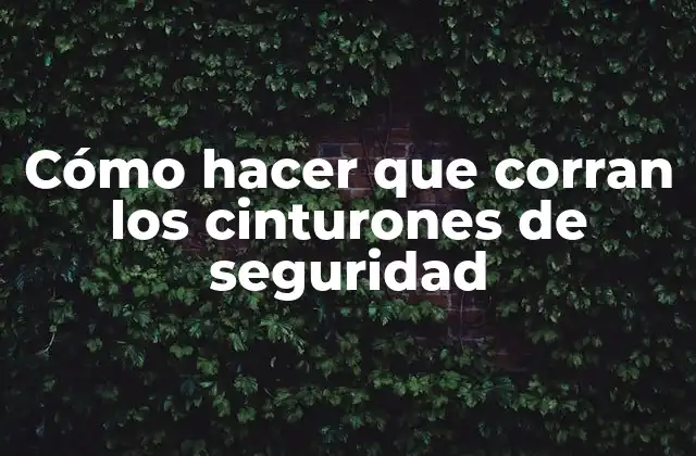 Cómo Hacer que Corran los Cinturones de Seguridad
