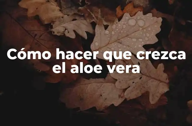 Cómo Hacer que Crezca el Aloe Vera