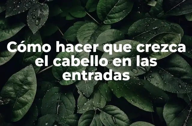 Cómo Hacer que Crezca el Cabello en las Entradas