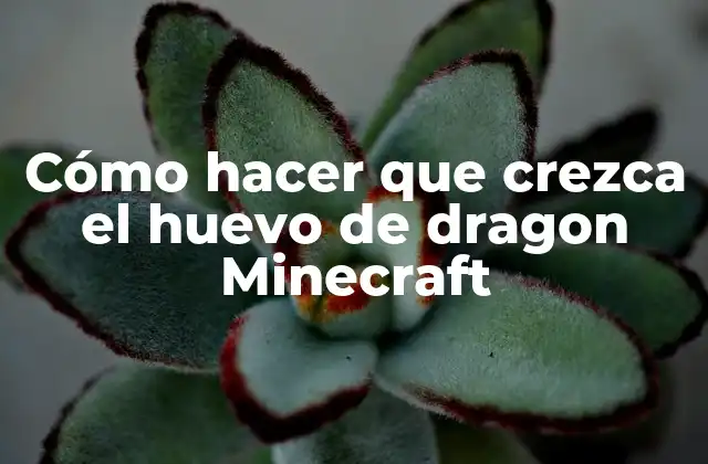 ¿Qué es un huevo de dragón en Minecraft?