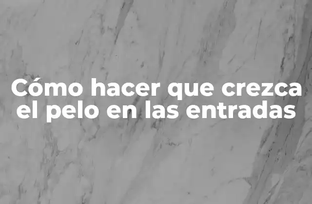 Cómo Hacer que Crezca el Pelo en las Entradas