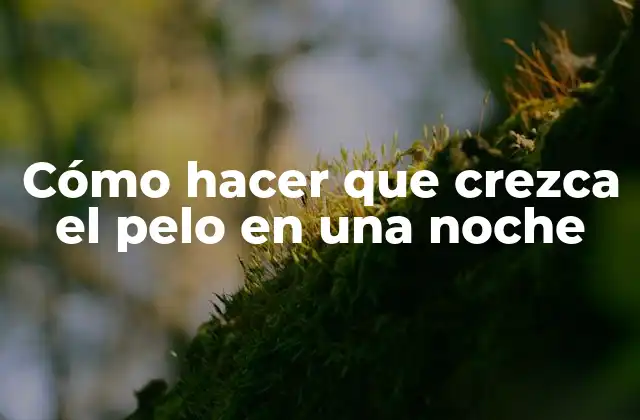 Cómo Hacer que Crezca el Pelo en una Noche