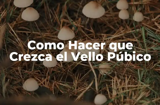 Como Hacer que Crezca el Vello Púbico 2 Qué es el Vello Púbico y por qué es Importante