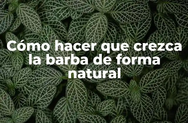 Cómo Hacer que Crezca la Barba de Forma Natural