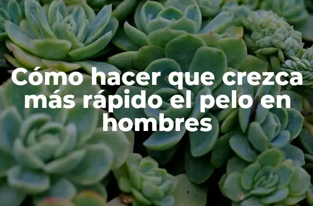 Cómo Hacer que Crezca Más Rápido el Pelo en Hombres