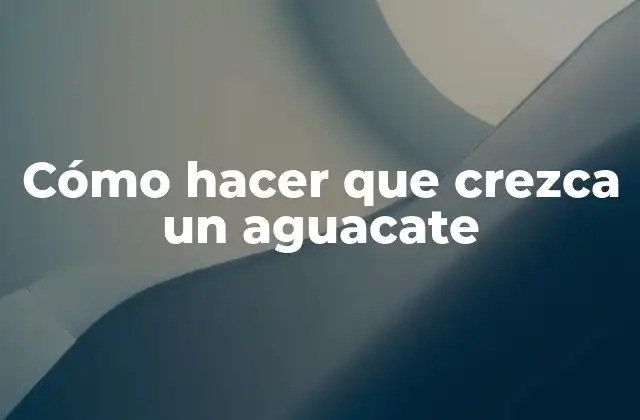 Cómo Hacer que Crezca un Aguacate