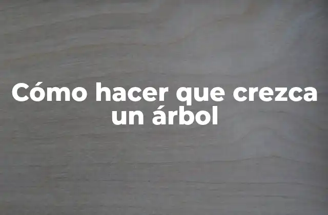 Cómo Hacer que Crezca un Árbol