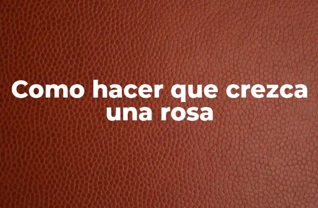 Como Hacer que Crezca una Rosa