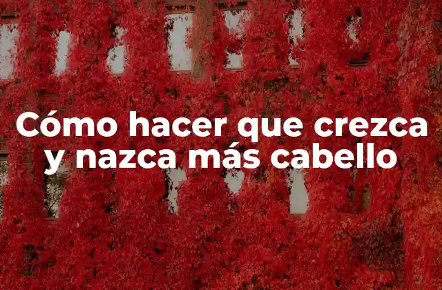 Cómo Hacer que Crezca y Nazca Más Cabello