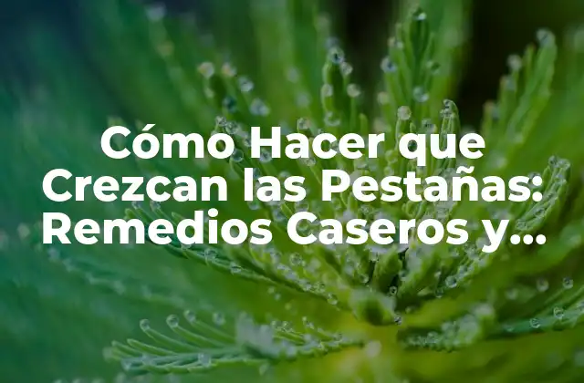 Cómo Hacer que Crezcan las Pestañas: Remedios Caseros y Consejos Efectivos
