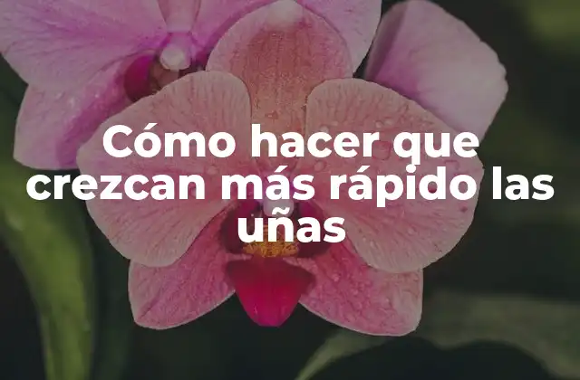 Cómo Hacer que Crezcan Más Rápido las Uñas