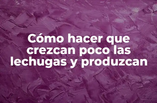 Cómo Hacer que Crezcan Poco las Lechugas y Produzcan