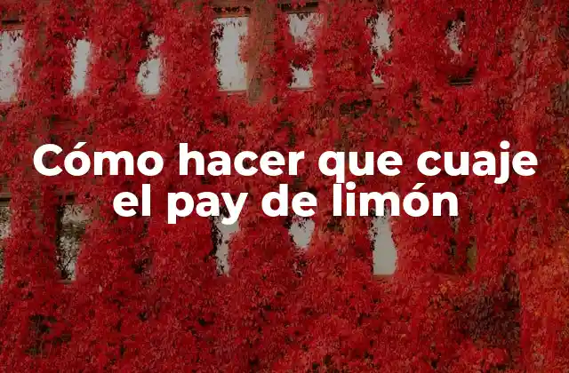 Cómo Hacer que Cuaje el Pay de Limón 2 ¿Qué es el pay de limón y para qué sirve?