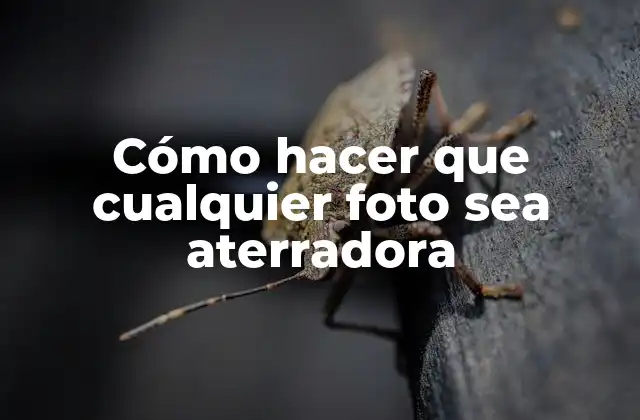 Cómo Hacer que Cualquier Foto Sea Aterradora